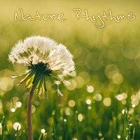 Nature Rhythms – Healing Nature Sounds for Pure Relaxation, New Age Music, Relaxing Sounds, Total Rest, Relax Yourself