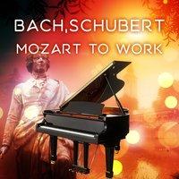 Bach, Schubert, Mozart to Work – Music for Study, Deep Focus, Facile Exam