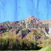 58 Sounds to Induce Sleep