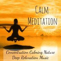 Calm Meditation - Concentration Calming Nature Deep Relaxation Music with Sleep Meditative Healing Soft Sounds