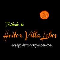 Tribute to Heitor Villa Lobos