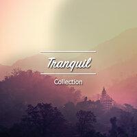 #22 Tranquil Collection for Sleep and Relaxation