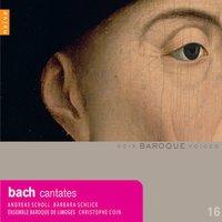 Bach: Cantatas BWV 6, 41 & 68