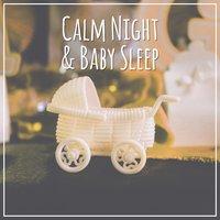 Calm Night & Baby Sleep