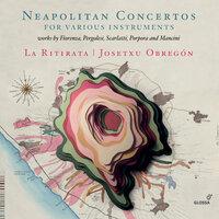 Neapolitan Concertos for Various Instruments