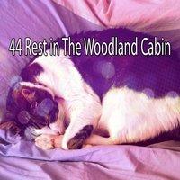 44 Rest in The Woodland Cabin