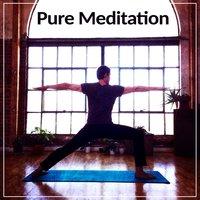 Pure Meditation