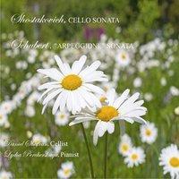 Sonata for Arpeggione and Piano, III. Allegretto in A Minor, Op. 821
