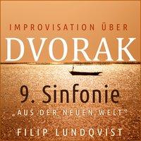 Improvisation über die Sinfonie No. 9 in E Minor, Op. 95, B. 178 "Aus der neuen Welt": II. Largo