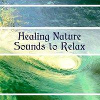 Healing Nature Sounds to Relax – Soft New Age Music, Forest Sounds, Rain Music, Birds Sounds