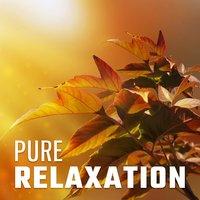 Pure Relaxation – Nature Sounds for Rest, Calming Waves, Healing Nature, Songs for Relax, Meditation