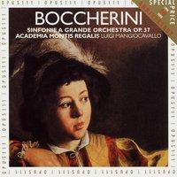 Boccherini: Sinfonie a grande orchestra