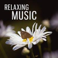 Relaxing Music – Birds, Waves, Sounds of Nature