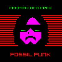 Fossil Funk EP