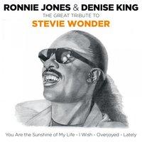 The Great Tribute to Stevie Wonder