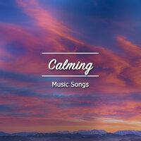 #2019 Calming Music Songs for Calming Yoga Workout