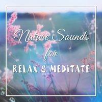 Nature Sounds for Relax & Meditate – Nature Music with Guitar in Background, Relaxing Music, Meditation Sounds to Calm Down, New Age Sounds
