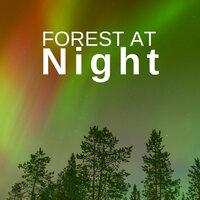 Forest at Night: Relaxing Nature Night Sounds