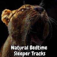 Natural Bedtime Sleeper Tracks