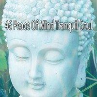 46 Peace Of Mind Tranquil Soul