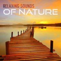 Relaxing Sounds of Nature – Relaxing Temple, Ambient Nature Sounds for Relaxation