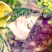 Sleep To Nature
