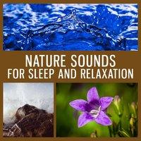 Relaxing Tracks of Nature – Relaxation Sounds, Ocean Waves, Deep Sleep, Rest After Work
