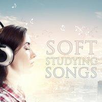 Study with Calm Music - The Playlist for Soft Studying Songs