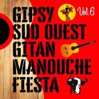 Gipsys, sud-ouest, gitans et manouches fiesta, Vol. 6