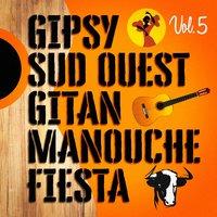 Gipsys, sud-ouest, gitans et manouches fiesta, Vol. 5