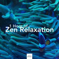 1 Hour of Zen Relaxation