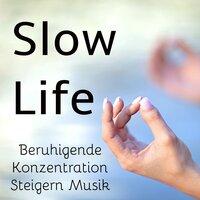 Slow Life - Beruhigende Konzentration Steigern Achtsamkeitsmeditation Musik für Besser Schlafen Entspannungsmassage und Gehirntraining