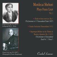 Liszt's Transcendental Etudes Versions 1827 & 1852
