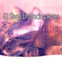 63 Sleep Embracing Auras