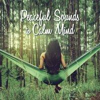 Peaceful Sounds to Calm Mind – Easy Listening New Age Songs, Soothing Melodies for Relaxation, Mind & Body Rest