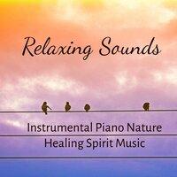 Relaxing Sounds - Instrumental Piano Nature Healing Spirit Music to Reduce Problems and Wellness Programs