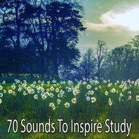 70 Sounds To Inspire Study