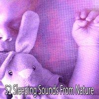 52 Sleeping Sounds From Nature