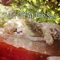 Turn Off At The Spa