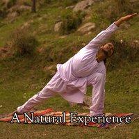 A Natural Experience