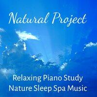 Natural Project - Relaxing Piano Study Nature Sleep Spa Music for Stress Relief Deep Meditation with Healing Calming Soft Sounds