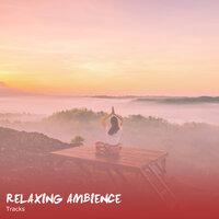 11 Relaxing Ambience Sounds to Clear your Mind