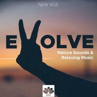 Evolve - Nature Sounds (Thunder, Rain, Ocean Waves) & Relaxing Instrumental Music