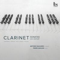 Clarinet Sonatas 20th Century