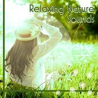 Relaxing Nature Sounds - Soothing Music for Yoga, Sensuality Sounds to Wellness, Music for Spa, Relaxing Music, Trouble Sleep