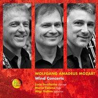 Wolfgang Amadeus Mozart: Wind Concerts