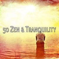 50 Zen & Tranquility