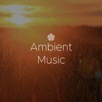 Relaxation Sleep 50 Songs - Instrumental Deep Sleeping Ambient to Listen at Night
