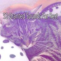 52 Granted Sounds For Rest