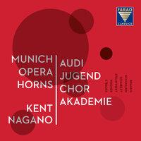Audi Jugendchorakademie, Munich Opera Horns